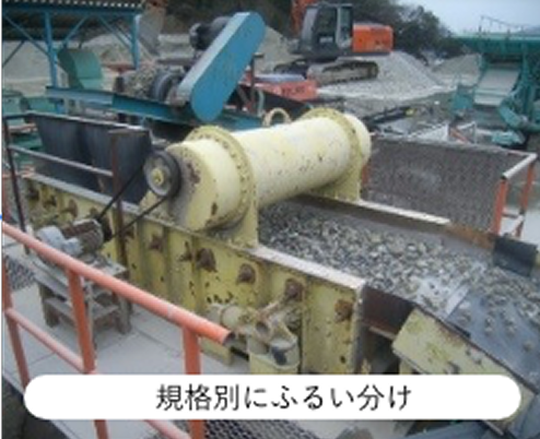 規格別にふるい分け